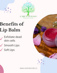 Beetroot Lip Balm